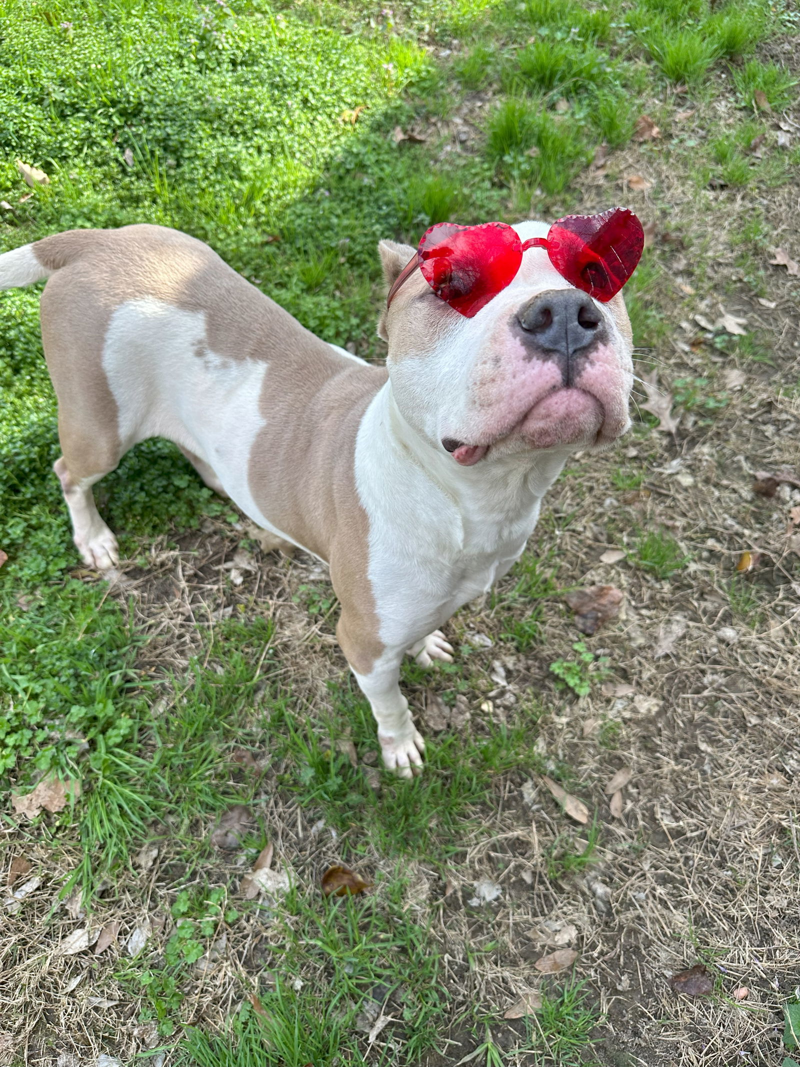 Abby