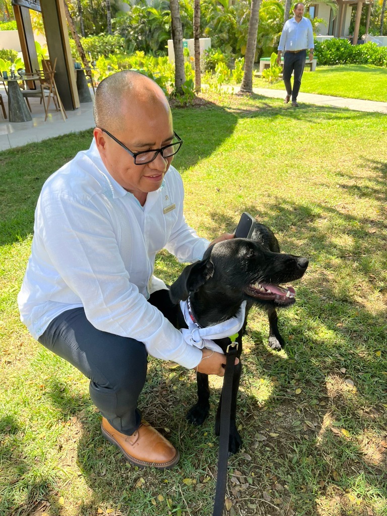 Happy, an adoptable Mixed Breed in San Juan de Abajo, NAY, 63732 | Photo Image 6