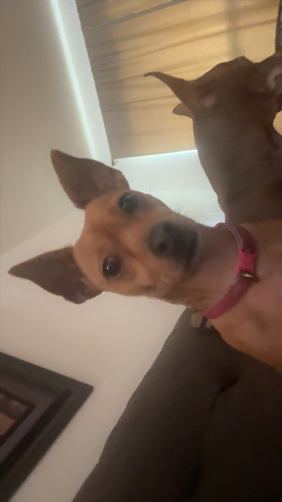 Ruby
