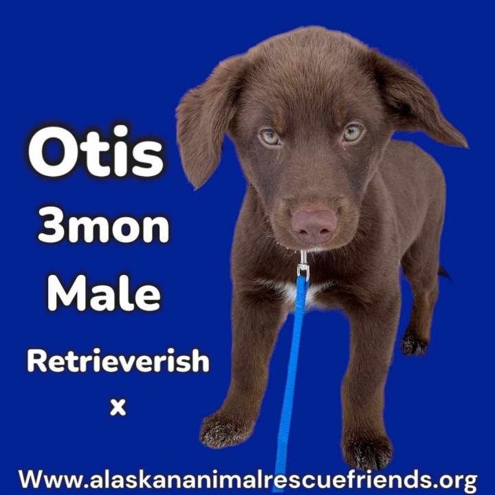 Otis 1