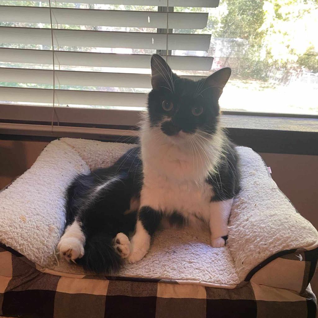 Milo