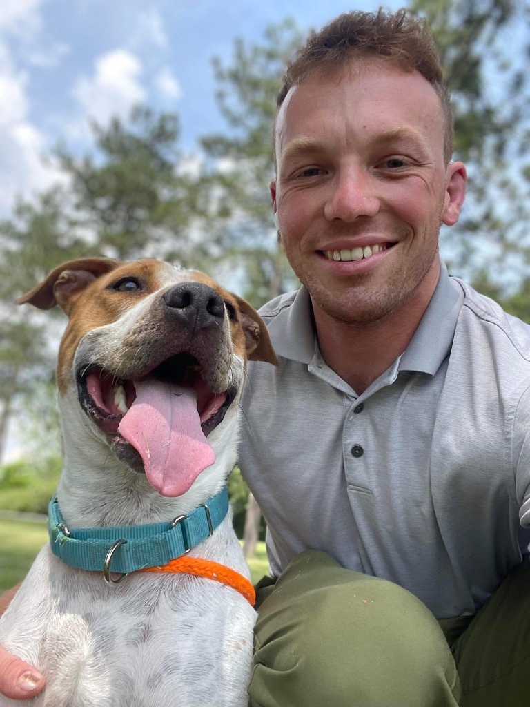 Kenzo, an adoptable Pit Bull Terrier, Hound in Liverpool, NY, 13088 | Photo Image 6