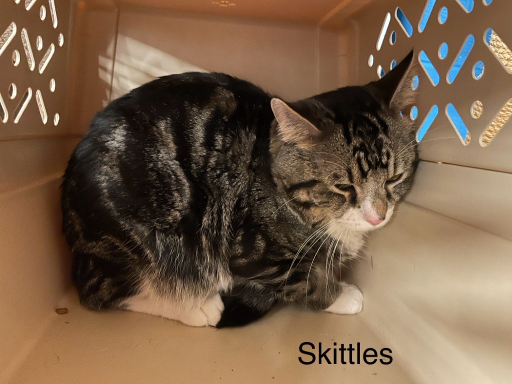 Skittles