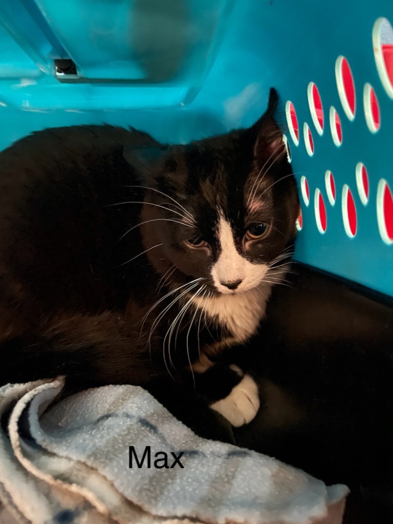 Max