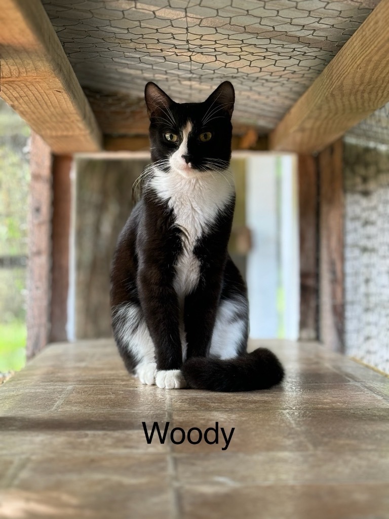 Woody