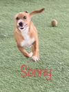 Sonny photo 3