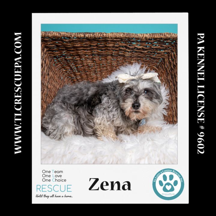 Zena (Bonded Pair with Sweet Pea) 030224 1