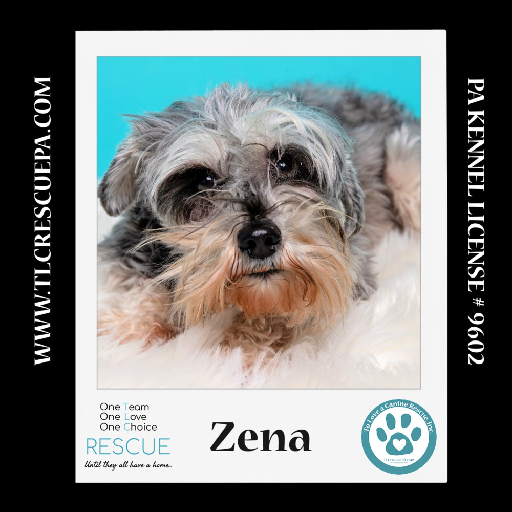 Zena (Bonded Pair with Sweet Pea) 030224