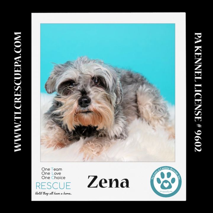 Zena (Bonded Pair with Sweet Pea) 030224 4