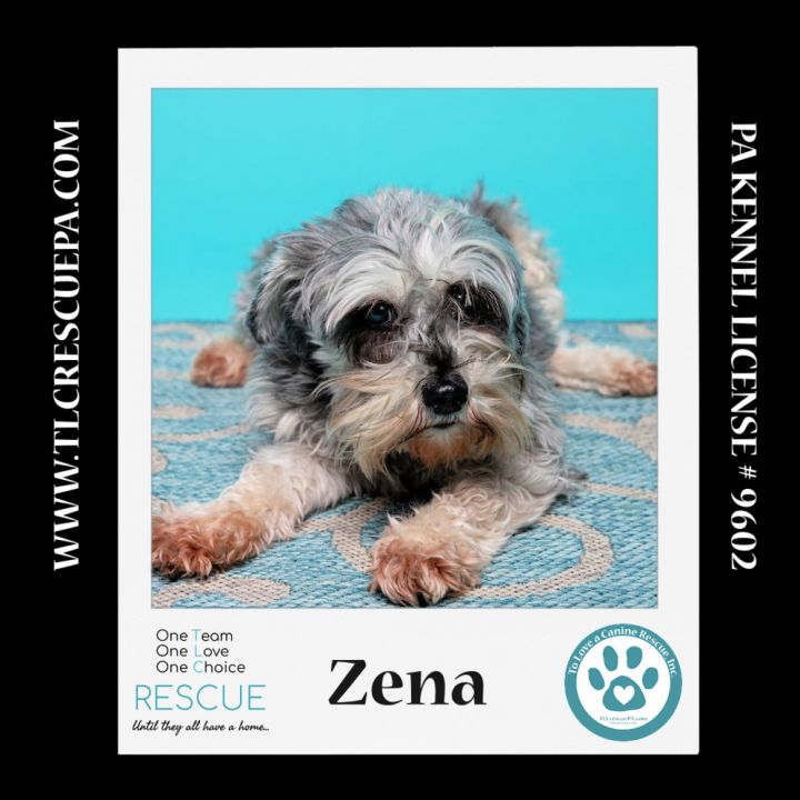 Zena (Bonded Pair with Sweet Pea) 030224 5
