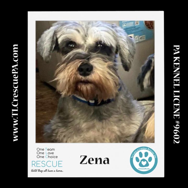 Zena (Bonded Pair with Sweet Pea) 030224 6