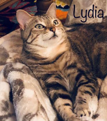 Lydia