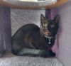 Toothless photo 1