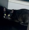 Zora photo 3
