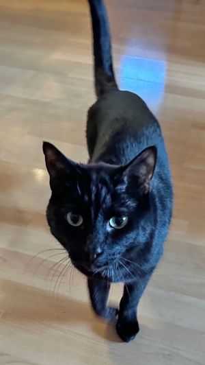 Edgar