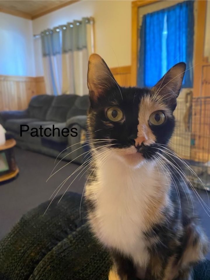 Patches 2