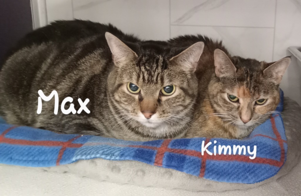 Kimmy & Max