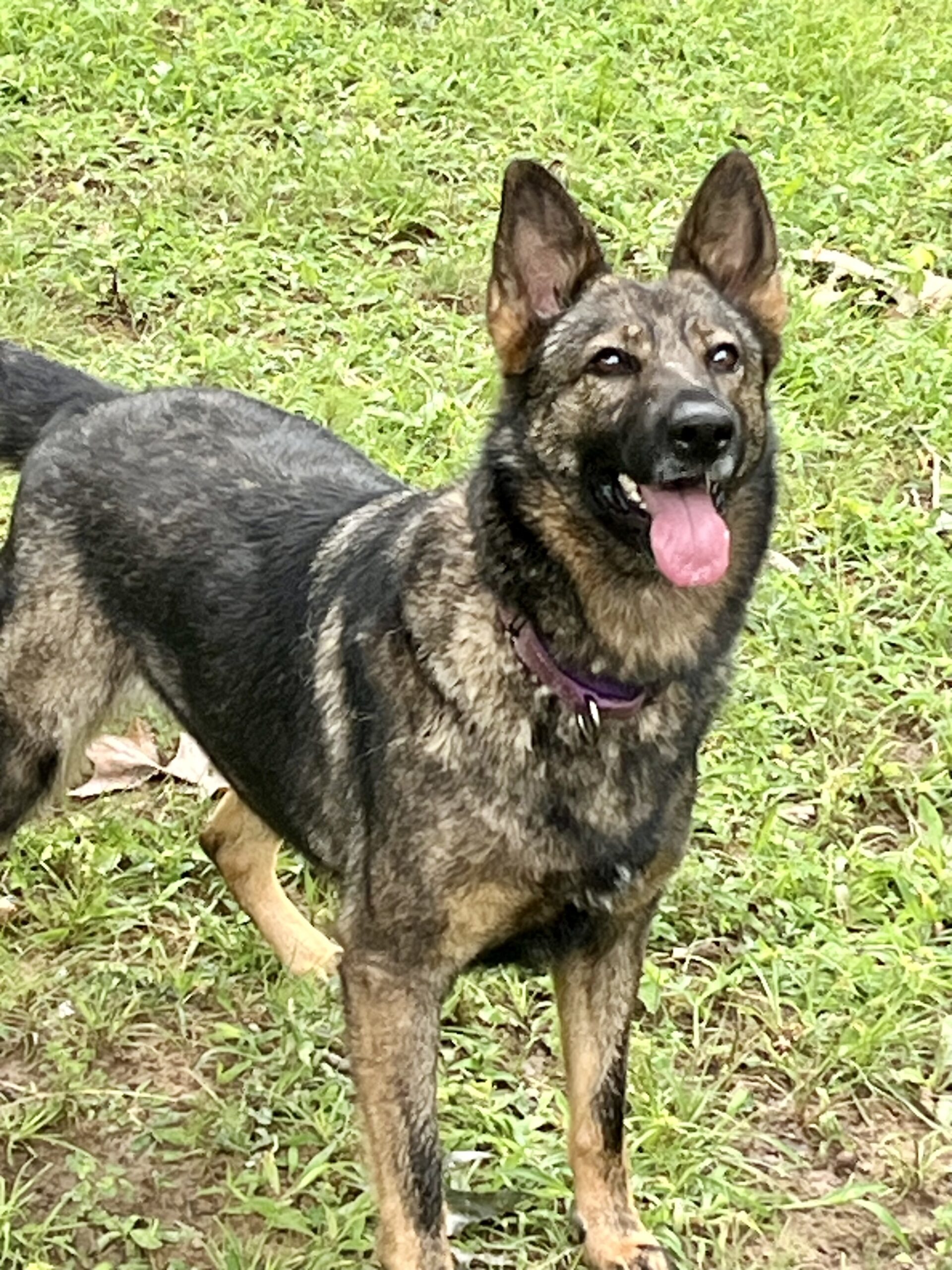 Kela