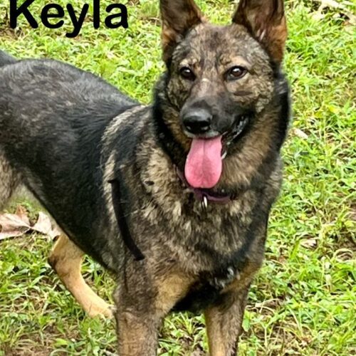 Kela 3