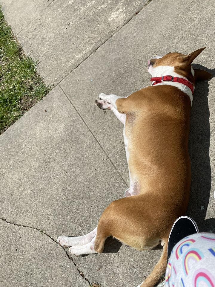 Wrigley 5