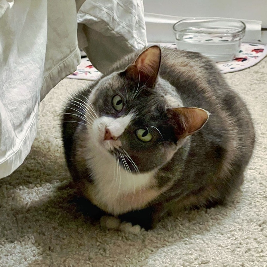 Kiera