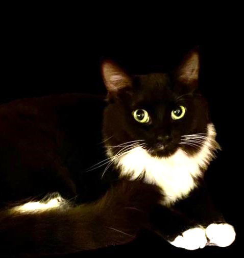 Rosie