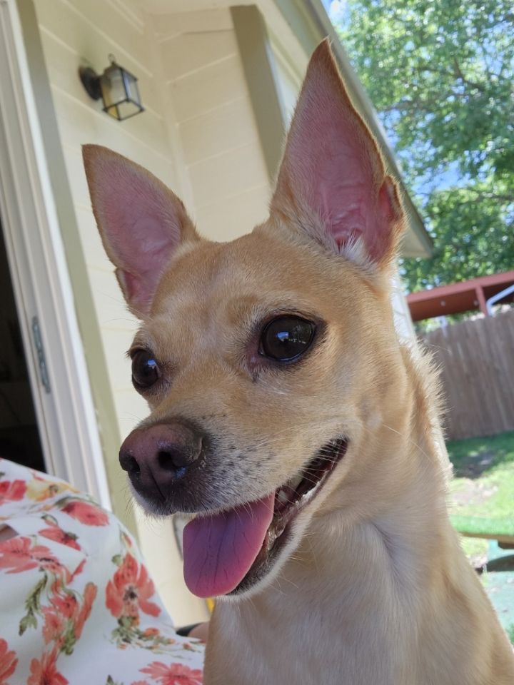 Sammi May 3