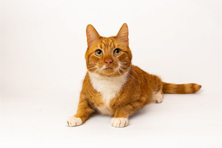 Tigger 1