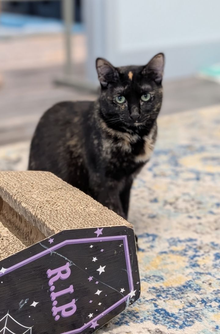Zora Neal Hurston 2