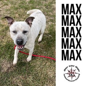 Max