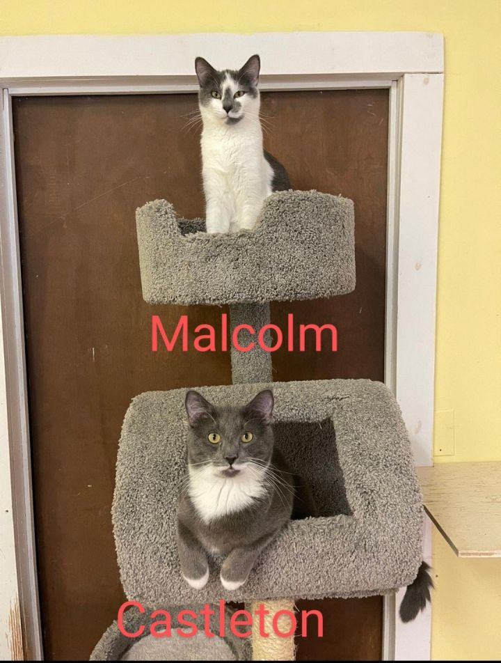 Malcolm 3