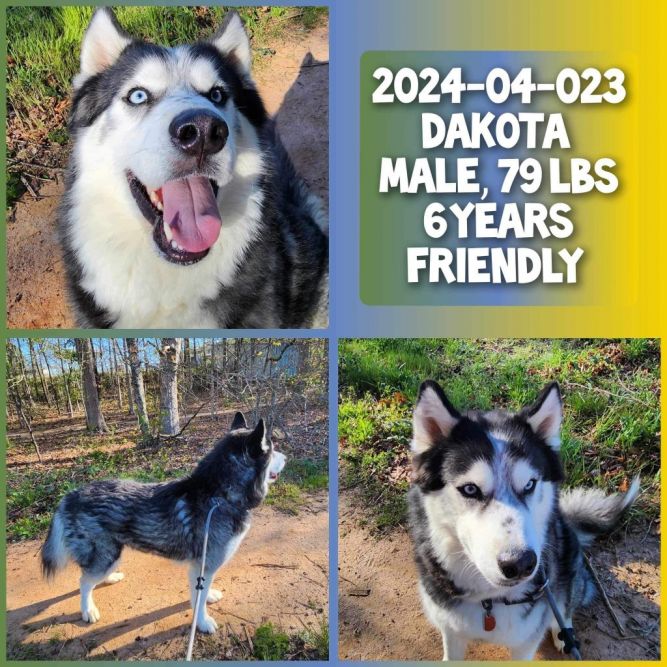 2024-04-023 *Dakota*