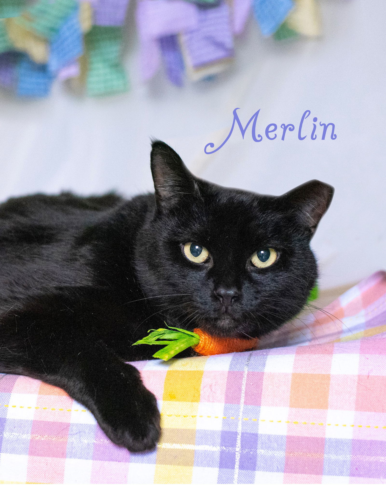 MERLIN