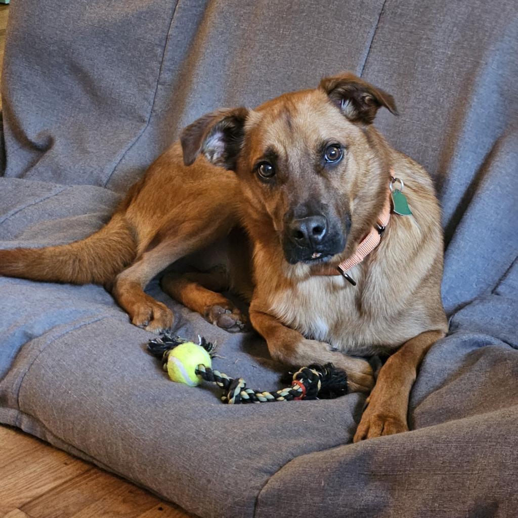 Max