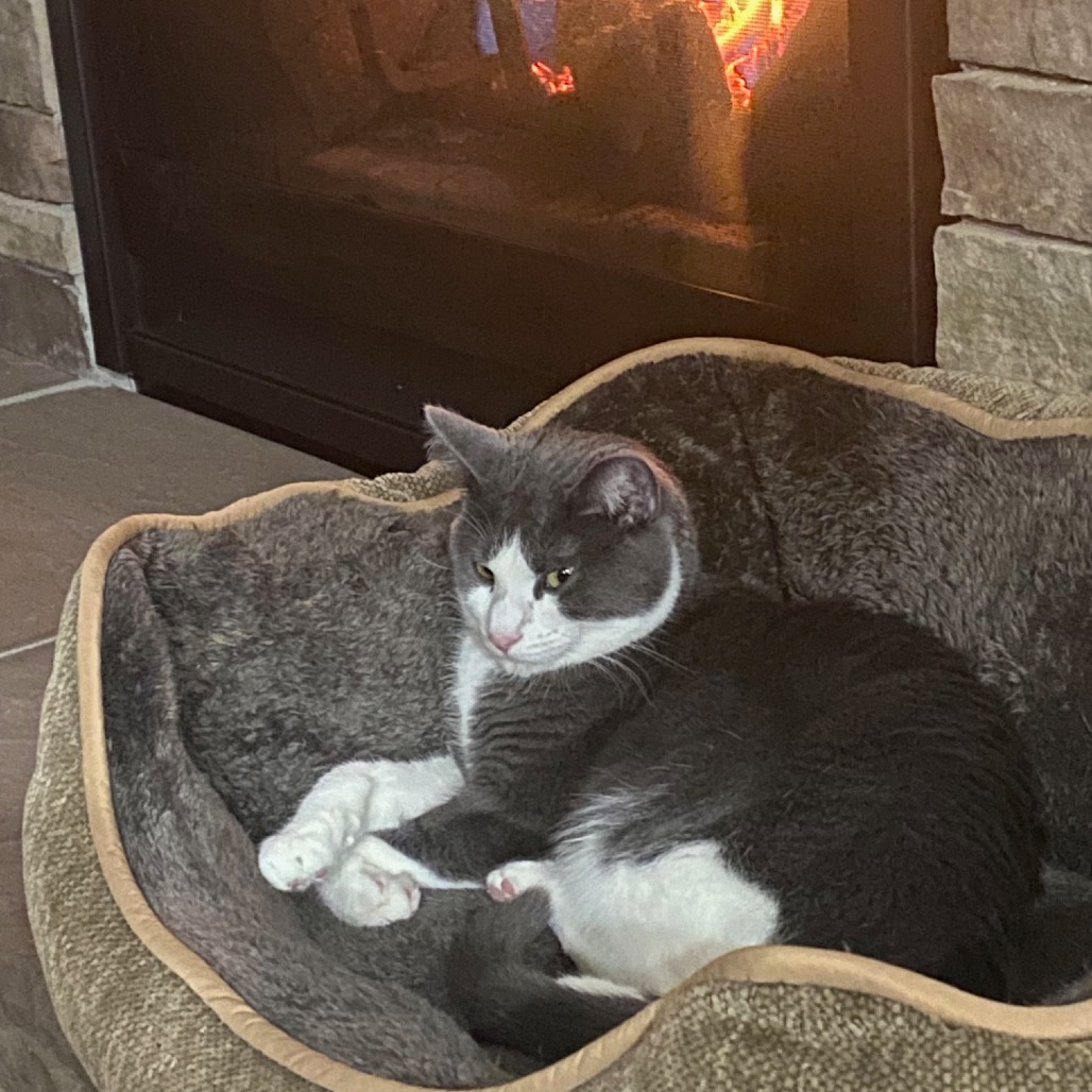 Doja