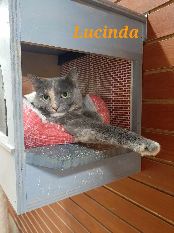 Lucinda