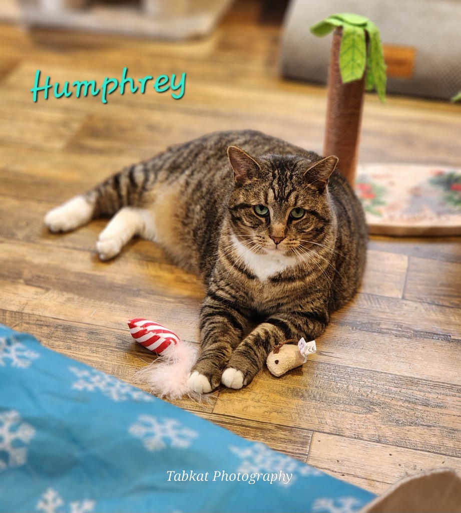 Humphrey