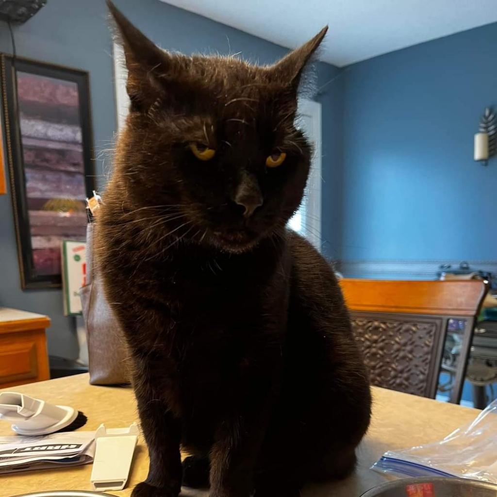 Binx