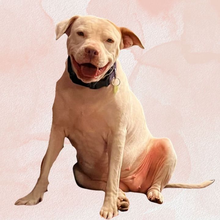 Adeline aka Addie 1