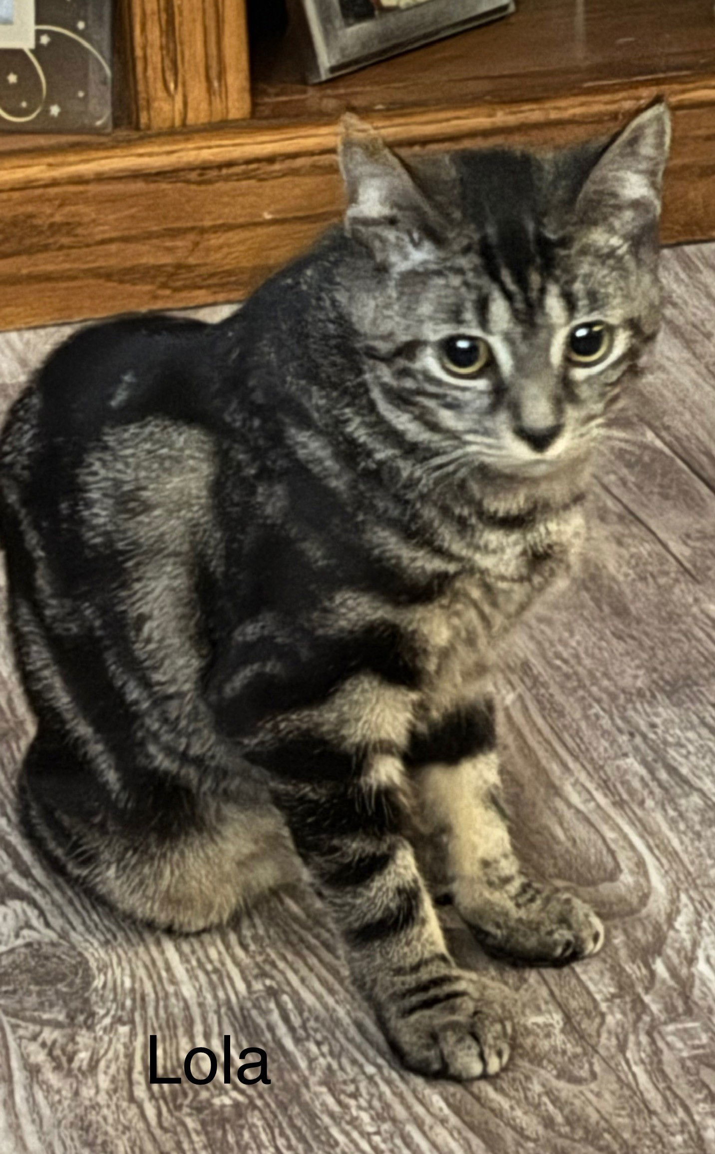 Lola