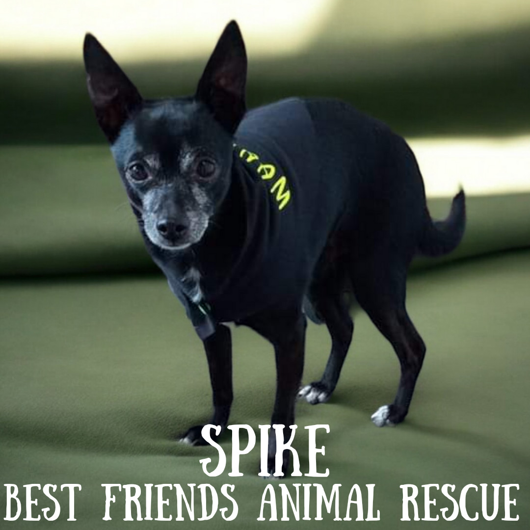 Spike