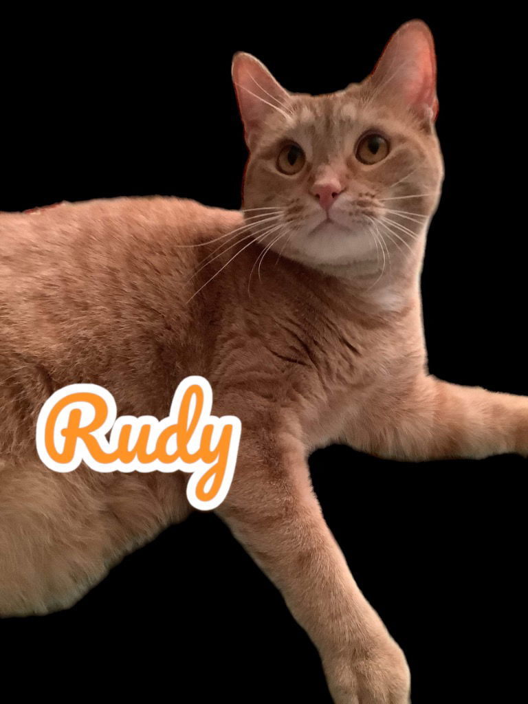 Rudy