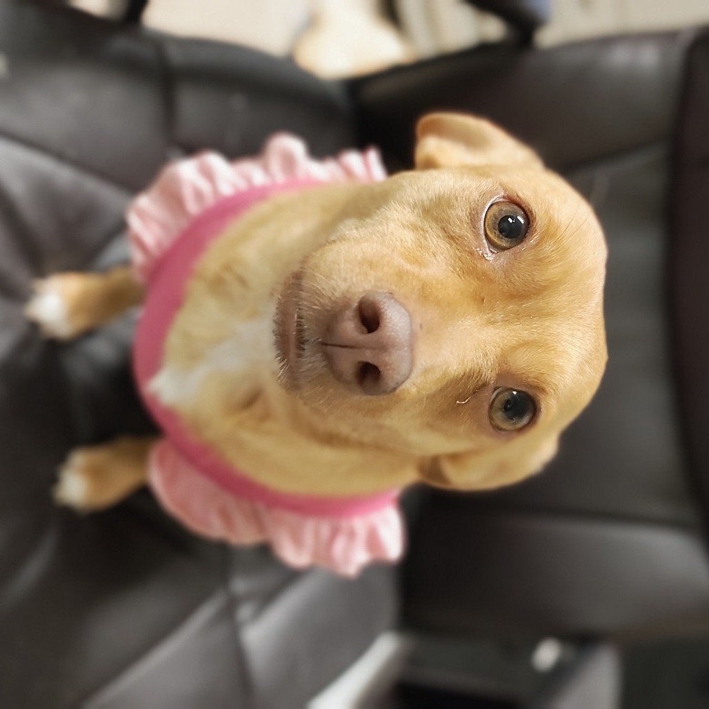 Wanda