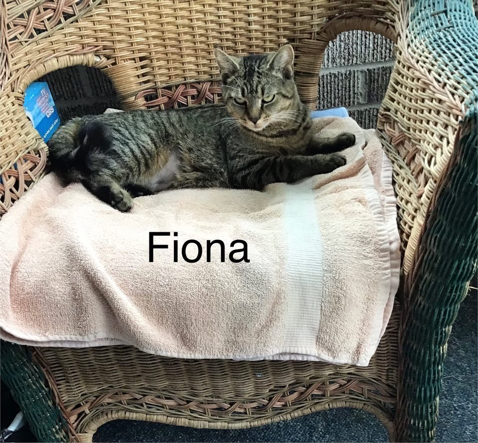 Fiona (24-284)