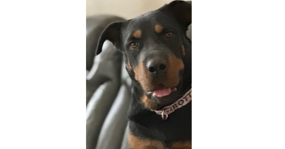Cali