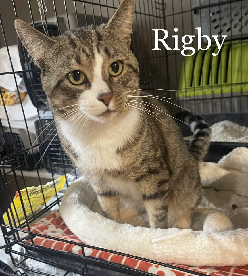 Rigby (24-210)