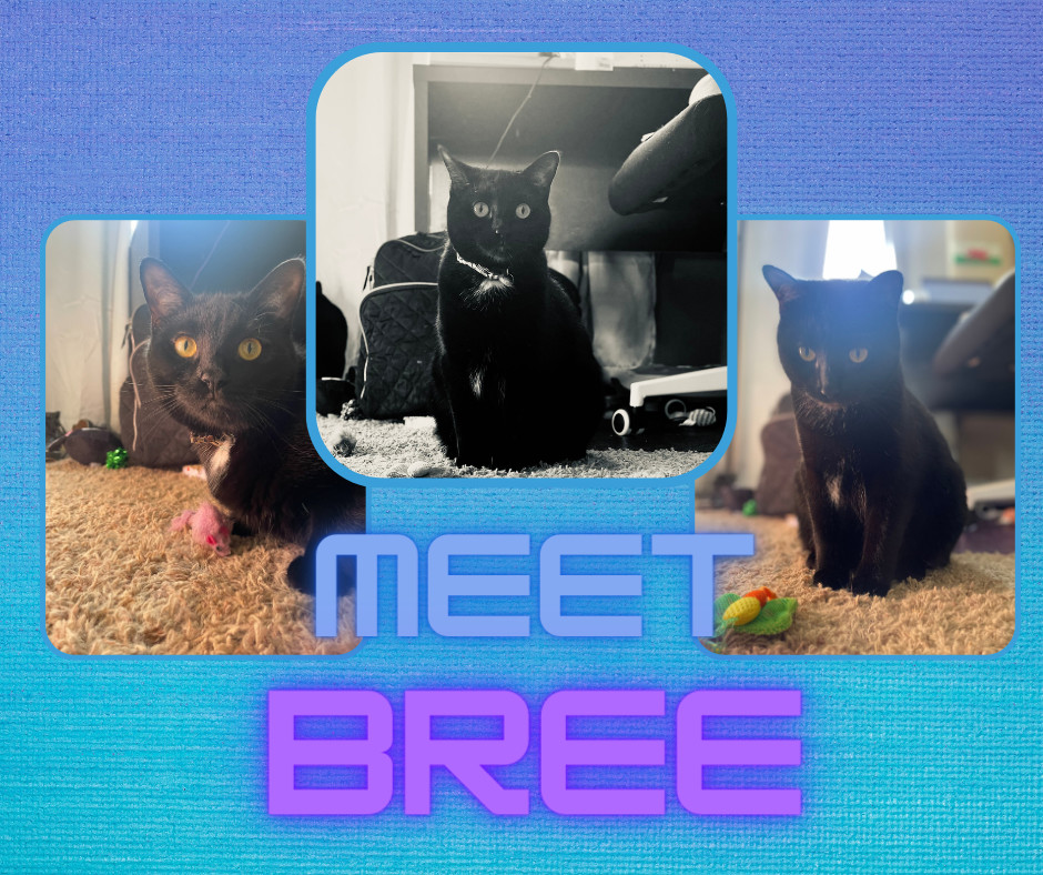 Bree