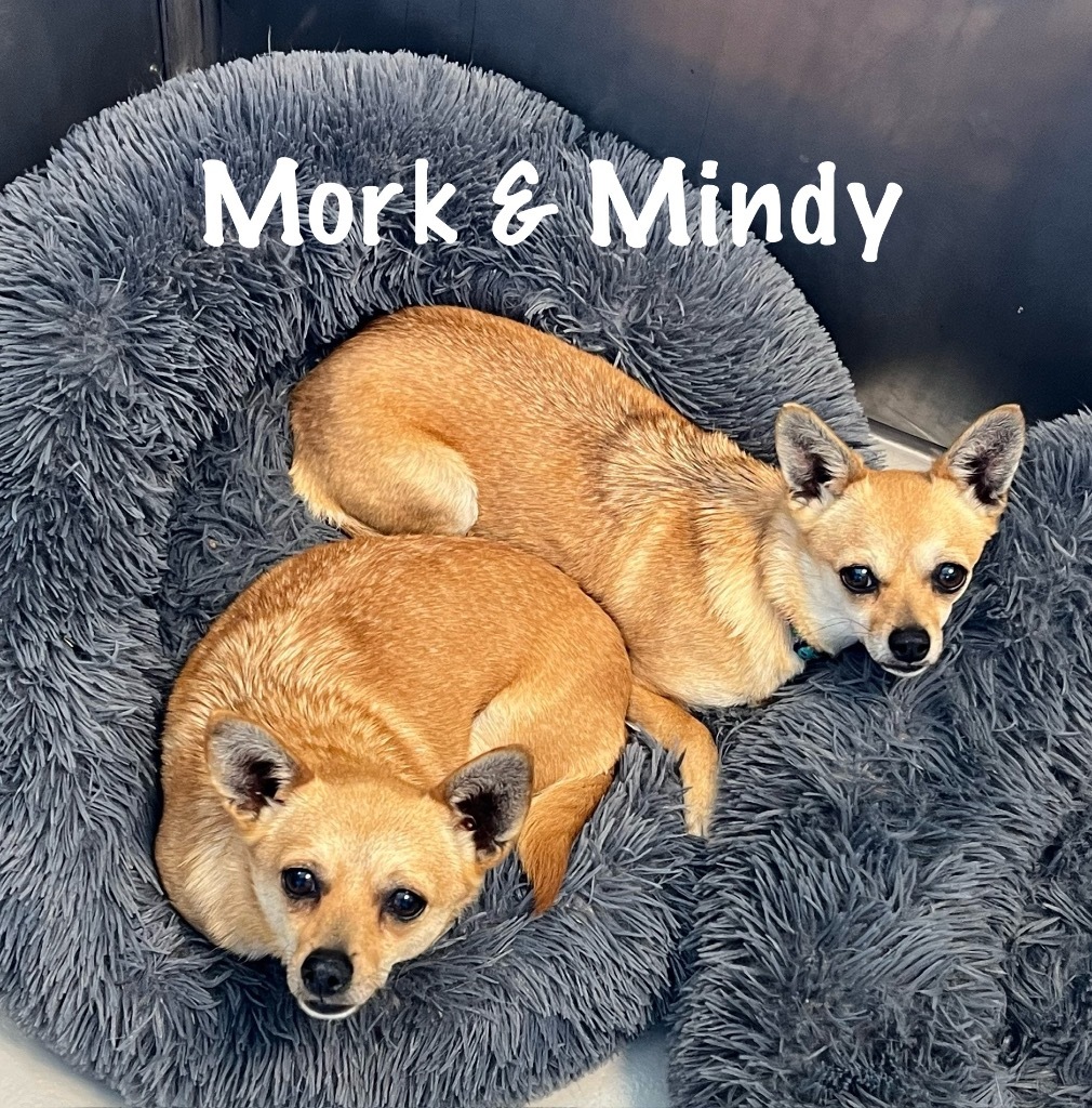 Mork / Mindy