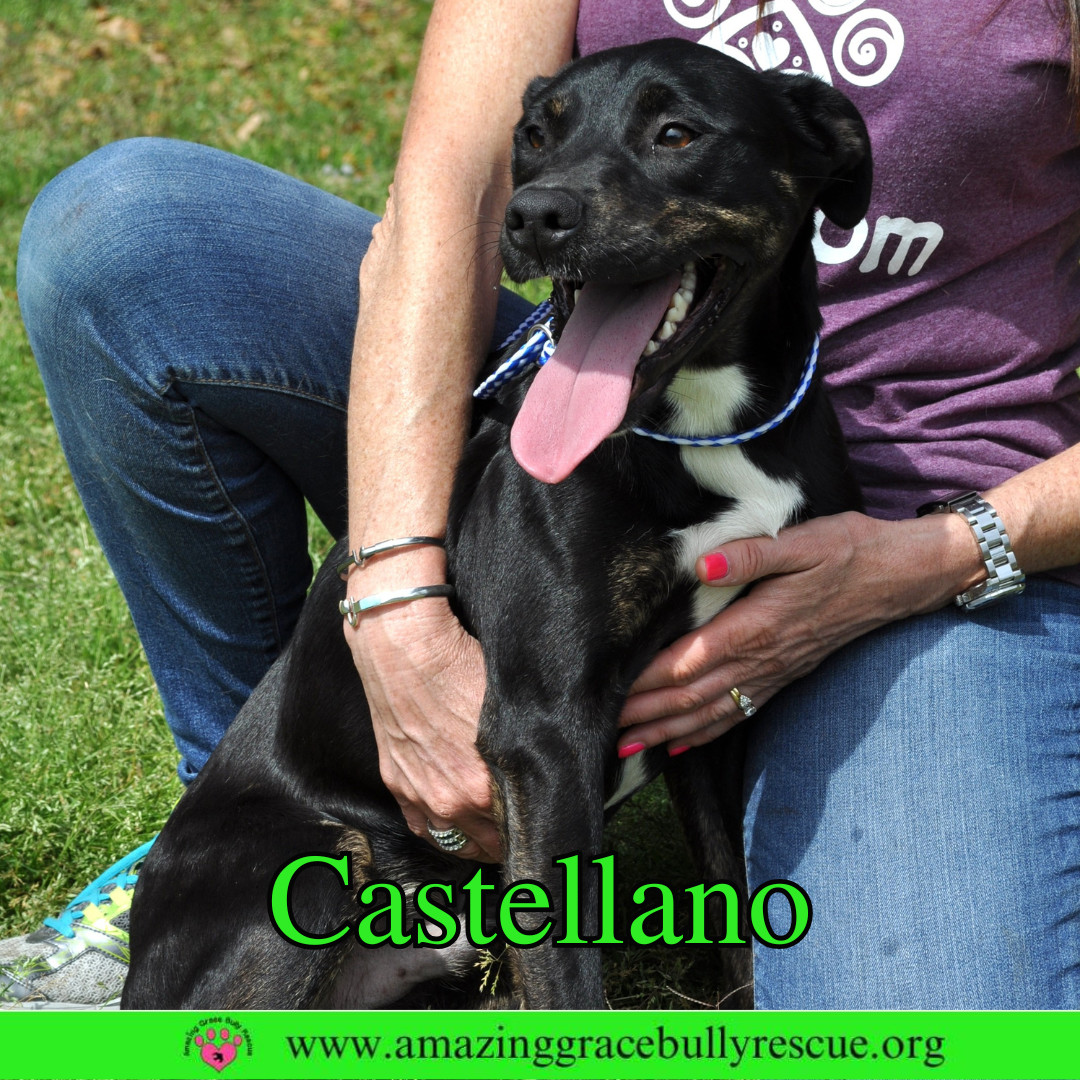Castellano