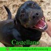 Castellano photo 7